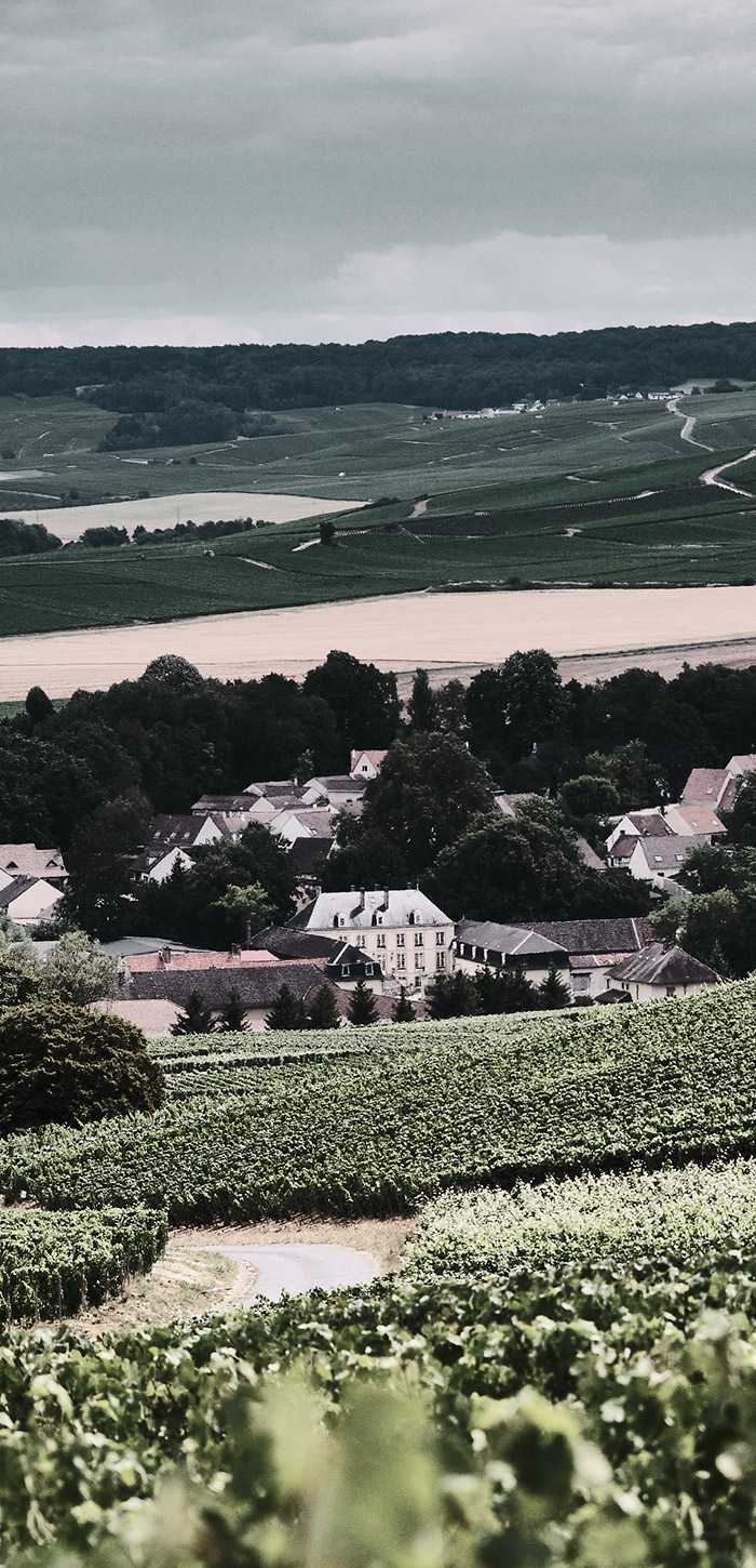Champagne Lenique Histoire et passion