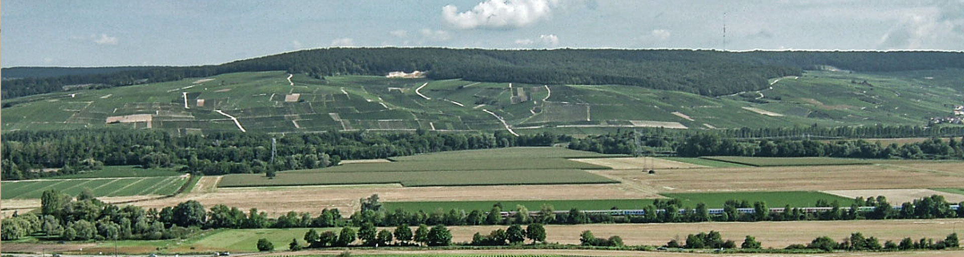 Champagne cuvée 3d wines Grand Cru 3dwines livraison Suede Italie