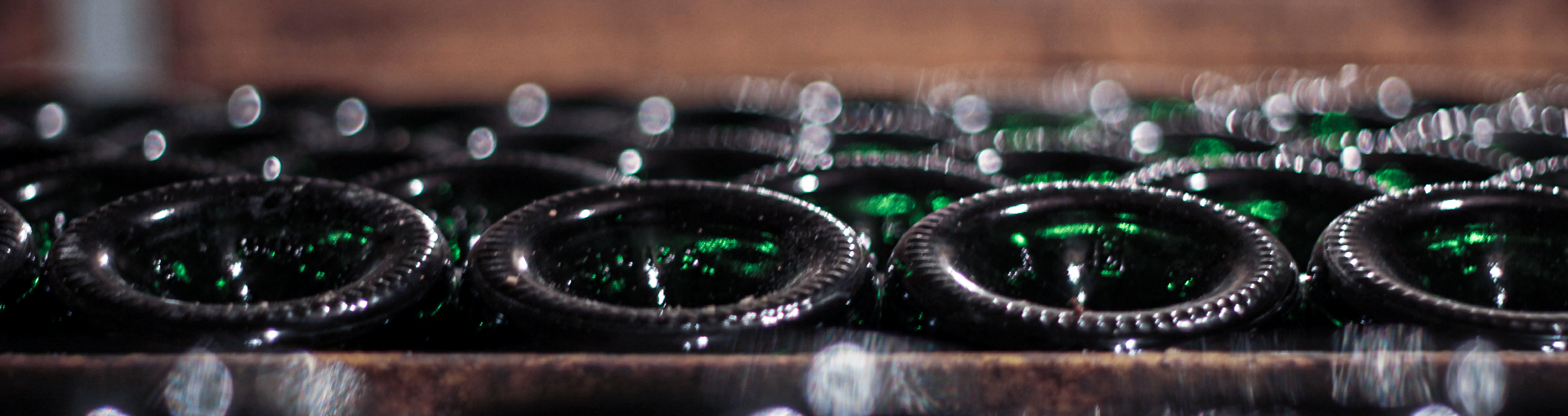 Univers Alexandre Lenique