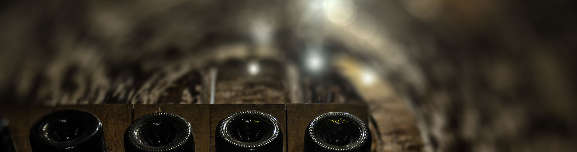 Univers Michel Lenique