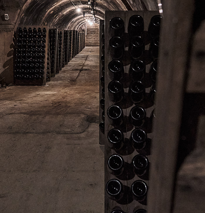 Champagne Lenique Visite de caves